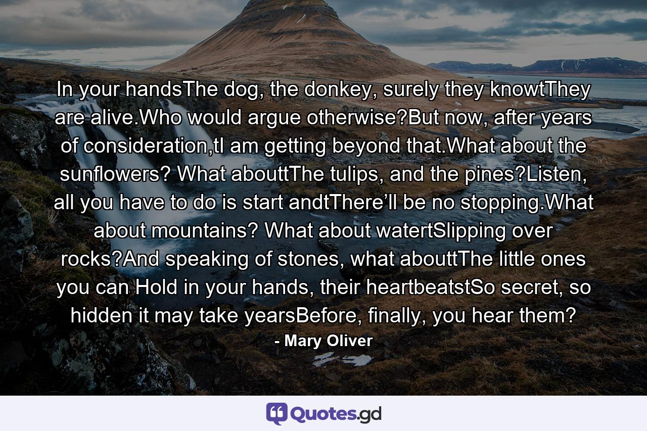 In your handsThe dog, the donkey, surely they knowtThey are alive.Who would argue otherwise?But now, after years of consideration,tI am getting beyond that.What about the sunflowers? What abouttThe tulips, and the pines?Listen, all you have to do is start andtThere’ll be no stopping.What about mountains? What about watertSlipping over rocks?And speaking of stones, what abouttThe little ones you can Hold in your hands, their heartbeatstSo secret, so hidden it may take yearsBefore, finally, you hear them? - Quote by Mary Oliver