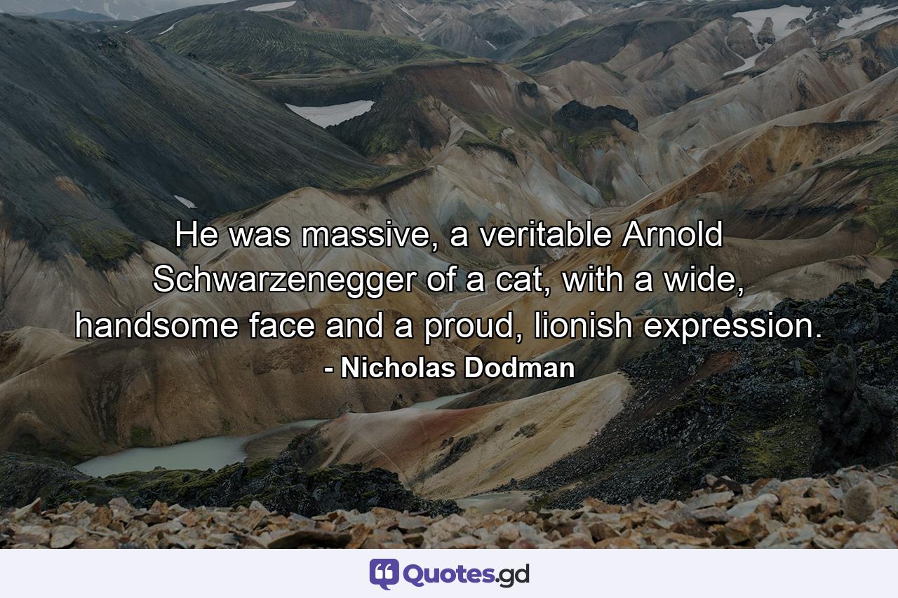 He was massive, a veritable Arnold Schwarzenegger of a cat, with a wide, handsome face and a proud, lionish expression. - Quote by Nicholas Dodman