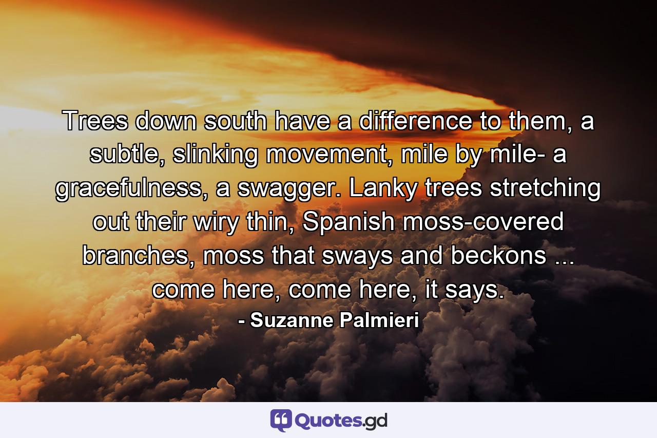 Trees down south have a difference to them, a subtle, slinking movement, mile by mile- a gracefulness, a swagger. Lanky trees stretching out their wiry thin, Spanish moss-covered branches, moss that sways and beckons ... come here, come here, it says. - Quote by Suzanne Palmieri