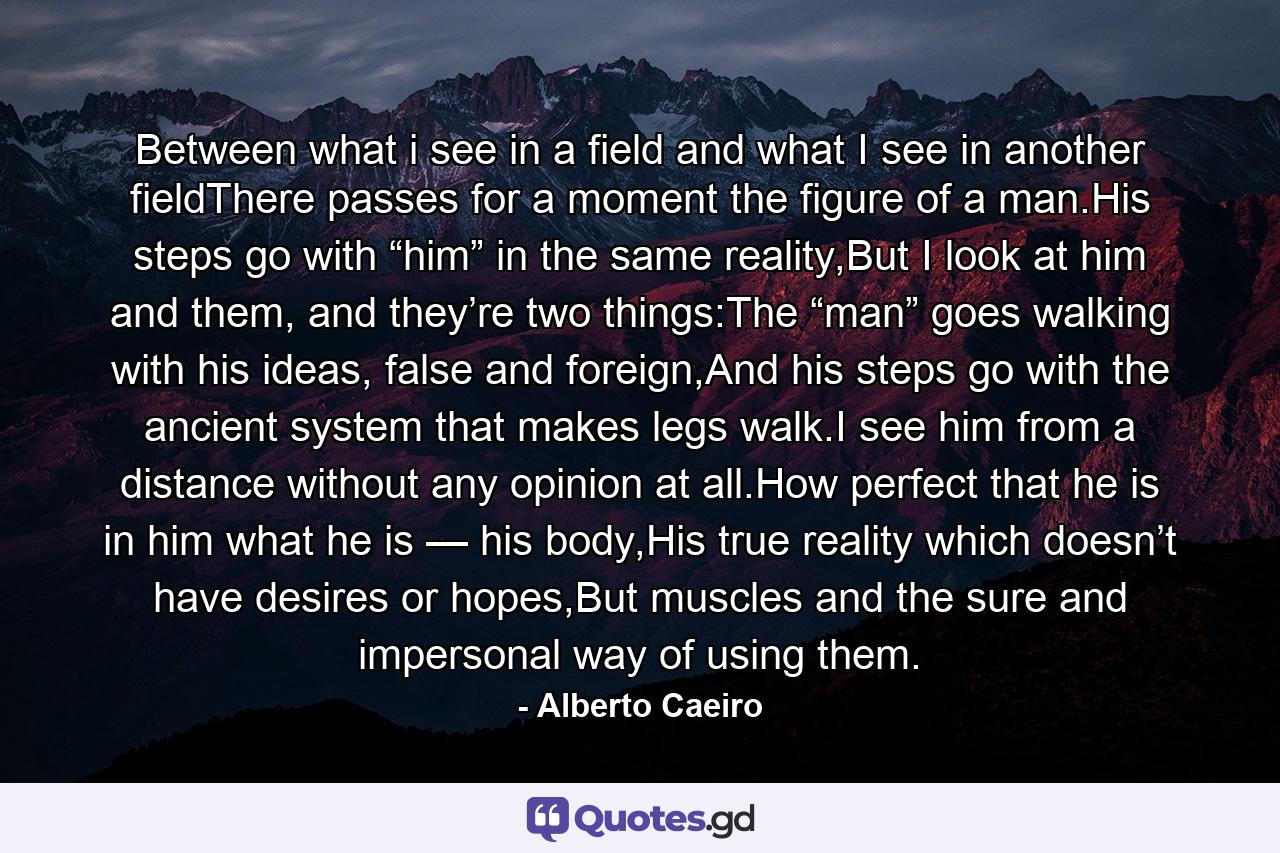 Between what i see in a field and what I see in another fieldThere passes for a moment the figure of a man.His steps go with “him” in the same reality,But I look at him and them, and they’re two things:The “man” goes walking with his ideas, false and foreign,And his steps go with the ancient system that makes legs walk.I see him from a distance without any opinion at all.How perfect that he is in him what he is — his body,His true reality which doesn’t have desires or hopes,But muscles and the sure and impersonal way of using them. - Quote by Alberto Caeiro