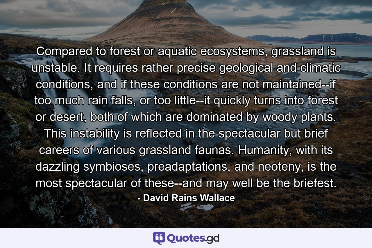 Compared to forest or aquatic ecosystems, grassland is unstable. It requires rather precise geological and climatic conditions, and if these conditions are not maintained--if too much rain falls, or too little--it quickly turns into forest or desert, both of which are dominated by woody plants. This instability is reflected in the spectacular but brief careers of various grassland faunas. Humanity, with its dazzling symbioses, preadaptations, and neoteny, is the most spectacular of these--and may well be the briefest. - Quote by David Rains Wallace