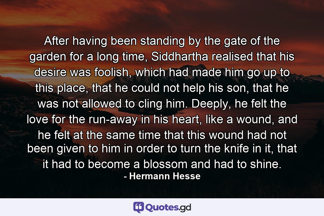 After having been standing by the gate of the garden for a long time, Siddhartha realised that his desire was foolish, which had made him go up to this place, that he could not help his son, that he was not allowed to cling him. Deeply, he felt the love for the run-away in his heart, like a wound, and he felt at the same time that this wound had not been given to him in order to turn the knife in it, that it had to become a blossom and had to shine. - Quote by Hermann Hesse