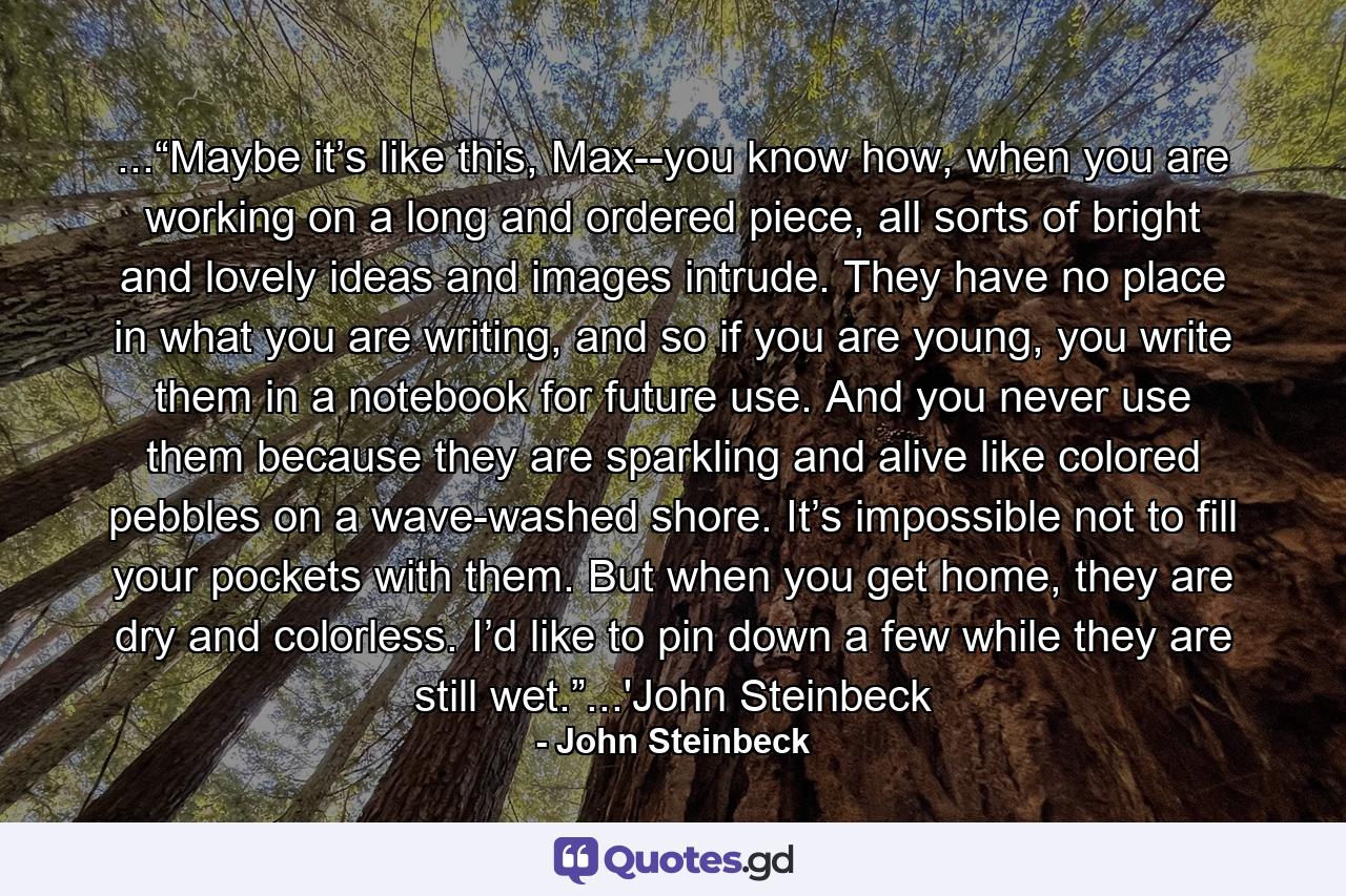 ...“Maybe it’s like this, Max--you know how, when you are working on a long and ordered piece, all sorts of bright and lovely ideas and images intrude. They have no place in what you are writing, and so if you are young, you write them in a notebook for future use. And you never use them because they are sparkling and alive like colored pebbles on a wave-washed shore. It’s impossible not to fill your pockets with them. But when you get home, they are dry and colorless. I’d like to pin down a few while they are still wet.”...'John Steinbeck - Quote by John Steinbeck