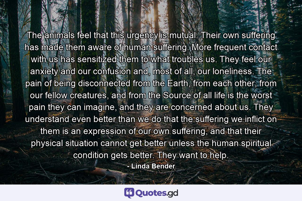 The animals feel that this urgency is mutual. Their own suffering has made them aware of human suffering. More frequent contact with us has sensitized them to what troubles us. They feel our anxiety and our confusion and, most of all, our loneliness. The pain of being disconnected from the Earth, from each other, from our fellow creatures, and from the Source of all life is the worst pain they can imagine, and they are concerned about us. They understand even better than we do that the suffering we inflict on them is an expression of our own suffering, and that their physical situation cannot get better unless the human spiritual condition gets better. They want to help. - Quote by Linda Bender