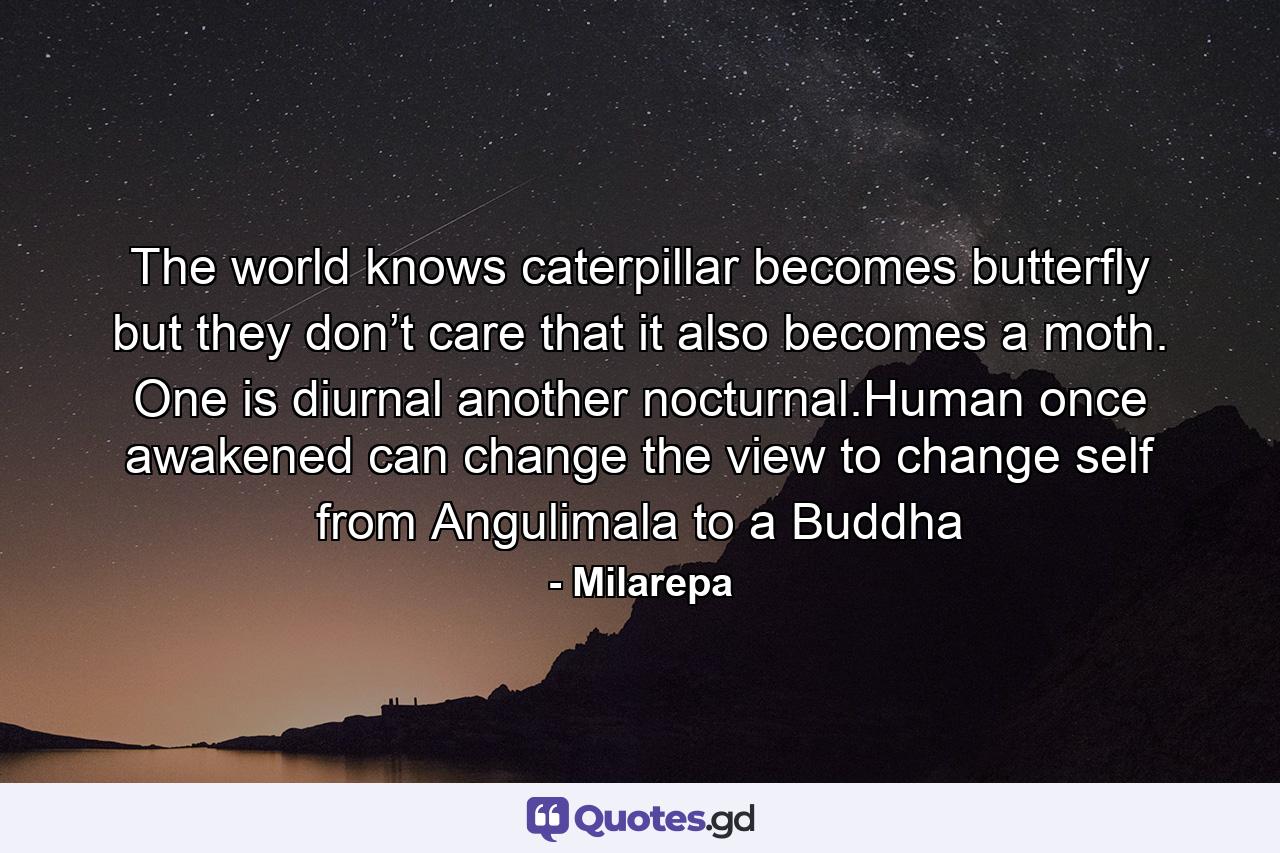 The world knows caterpillar becomes butterfly but they don’t care that it also becomes a moth. One is diurnal another nocturnal.Human once awakened can change the view to change self from Angulimala to a Buddha - Quote by Milarepa