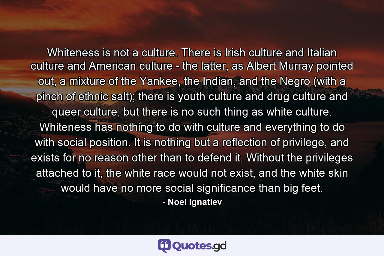 Whiteness is not a culture. There is Irish culture and Italian culture and American culture - the latter, as Albert Murray pointed out, a mixture of the Yankee, the Indian, and the Negro (with a pinch of ethnic salt); there is youth culture and drug culture and queer culture; but there is no such thing as white culture. Whiteness has nothing to do with culture and everything to do with social position. It is nothing but a reflection of privilege, and exists for no reason other than to defend it. Without the privileges attached to it, the white race would not exist, and the white skin would have no more social significance than big feet. - Quote by Noel Ignatiev