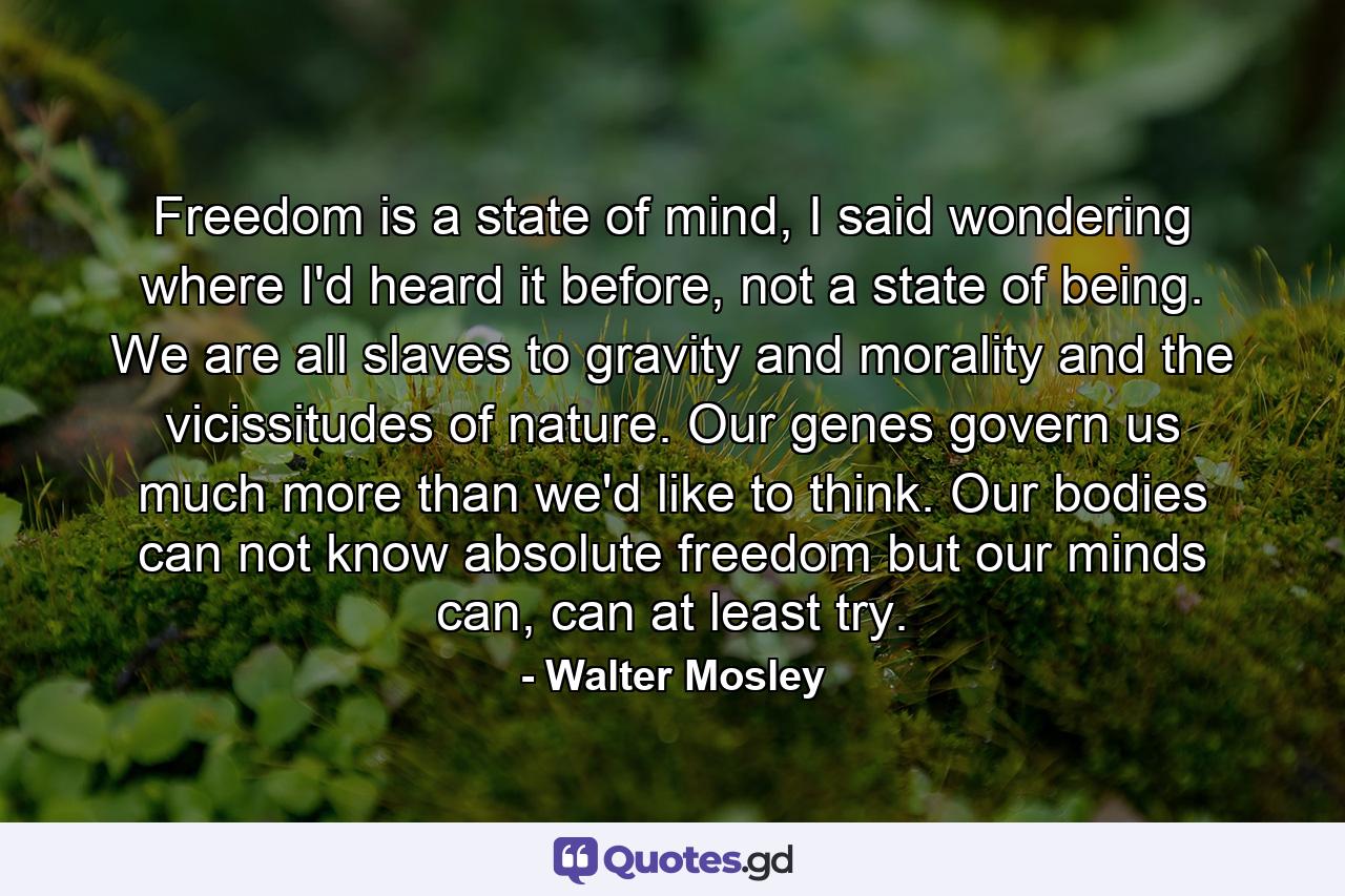 Freedom is a state of mind, I said wondering where I'd heard it before, not a state of being. We are all slaves to gravity and morality and the vicissitudes of nature. Our genes govern us much more than we'd like to think. Our bodies can not know absolute freedom but our minds can, can at least try. - Quote by Walter Mosley