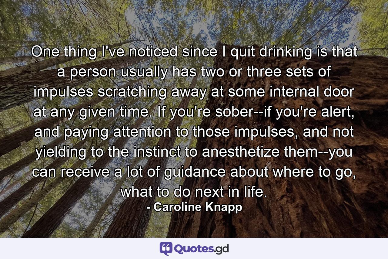 One thing I've noticed since I quit drinking is that a person usually has two or three sets of impulses scratching away at some internal door at any given time. If you're sober--if you're alert, and paying attention to those impulses, and not yielding to the instinct to anesthetize them--you can receive a lot of guidance about where to go, what to do next in life. - Quote by Caroline Knapp