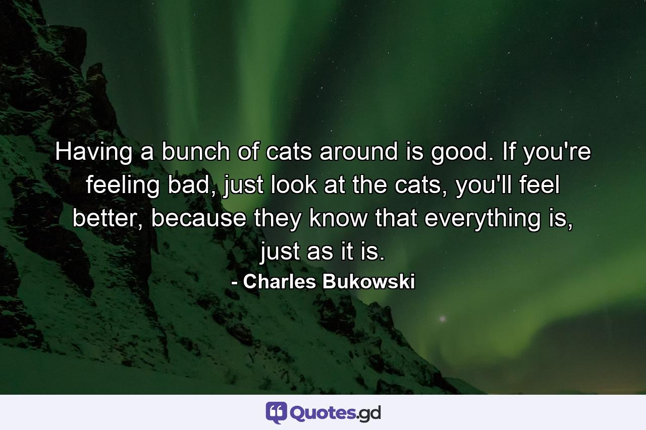 Having a bunch of cats around is good. If you're feeling bad, just look at the cats, you'll feel better, because they know that everything is, just as it is. - Quote by Charles Bukowski