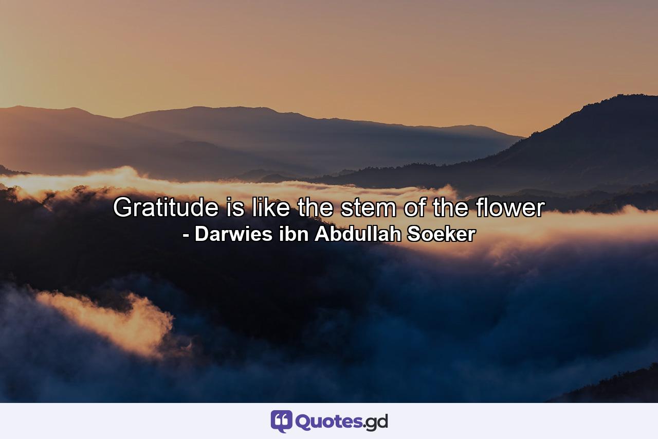 Gratitude is like the stem of the flower - Quote by Darwies ibn Abdullah Soeker