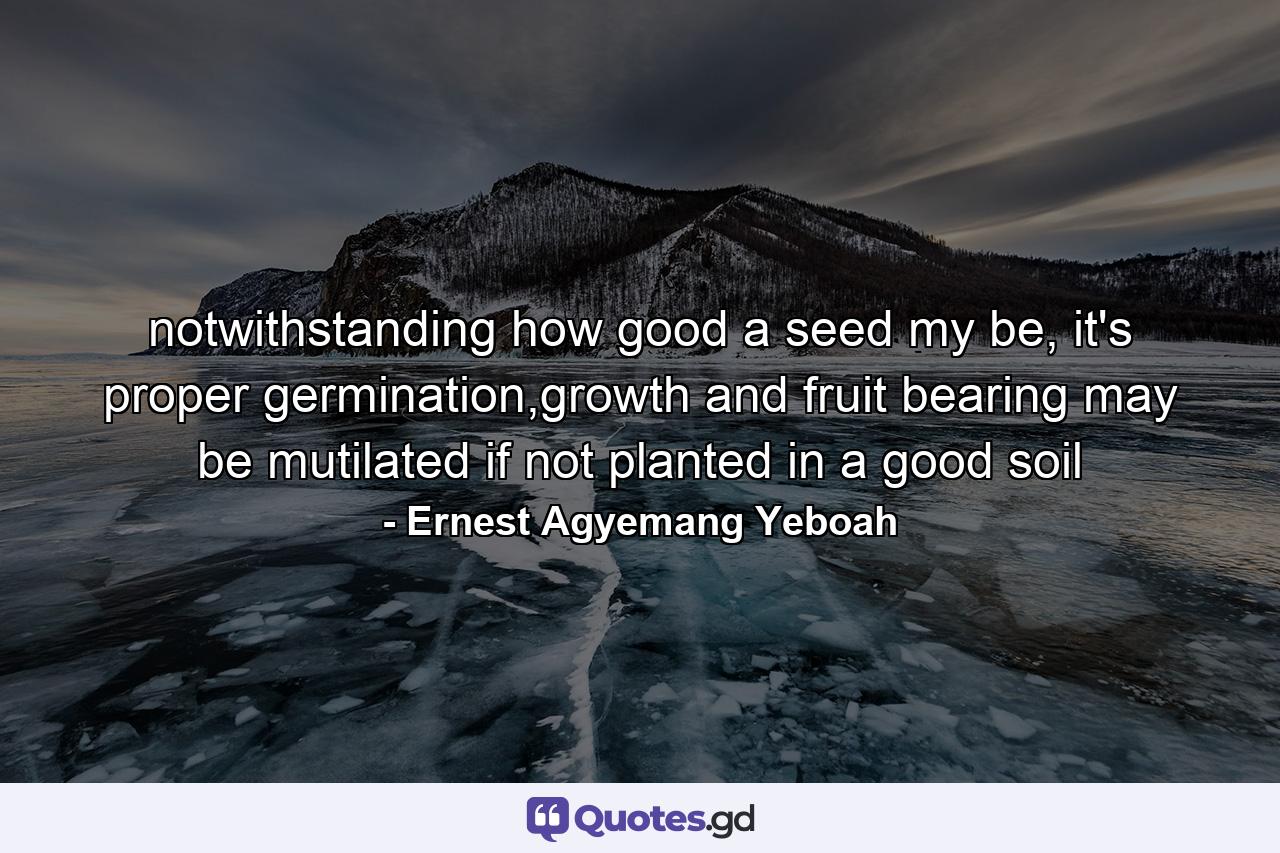 notwithstanding how good a seed my be, it's proper germination,growth and fruit bearing may be mutilated if not planted in a good soil - Quote by Ernest Agyemang Yeboah