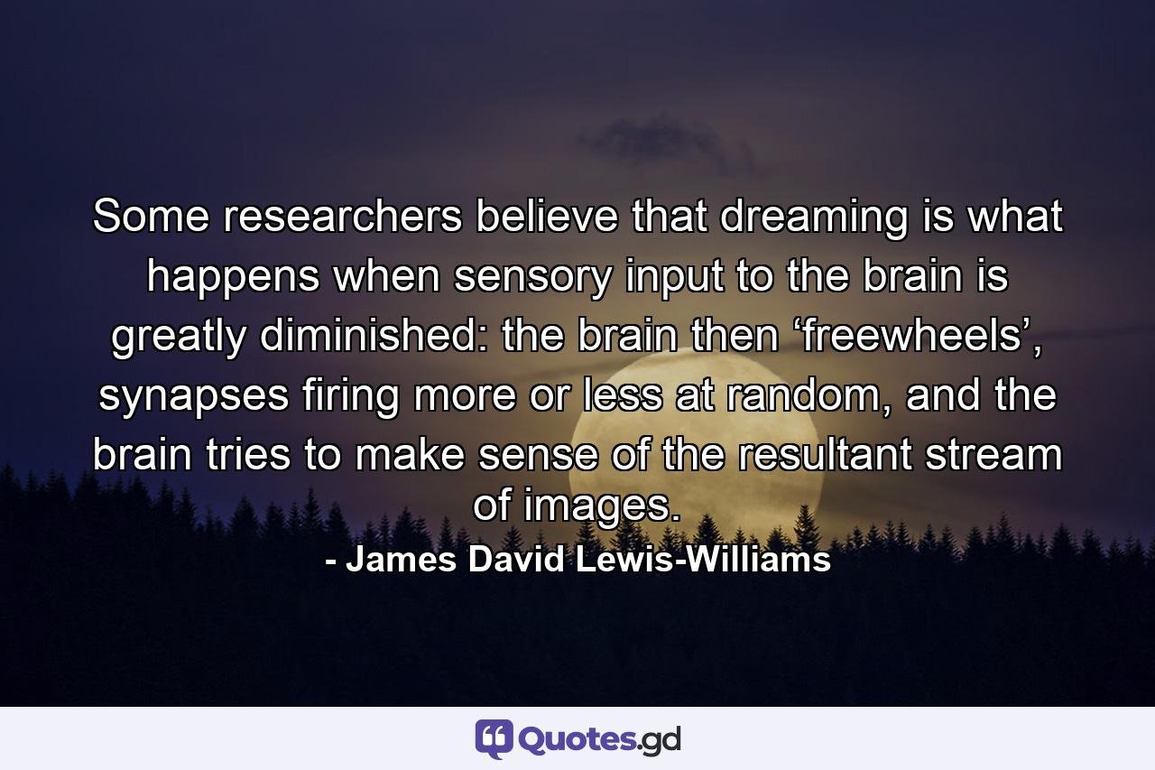 Some researchers believe that dreaming is what happens when sensory input to the brain is greatly diminished: the brain then ‘freewheels’, synapses firing more or less at random, and the brain tries to make sense of the resultant stream of images. - Quote by James David Lewis-Williams