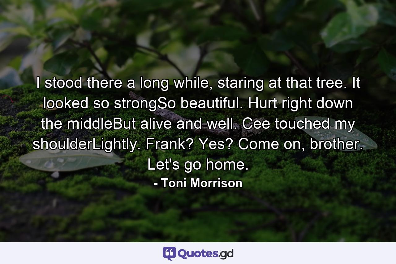 I stood there a long while, staring at that tree. It looked so strongSo beautiful. Hurt right down the middleBut alive and well. Cee touched my shoulderLightly. Frank? Yes? Come on, brother. Let's go home. - Quote by Toni Morrison