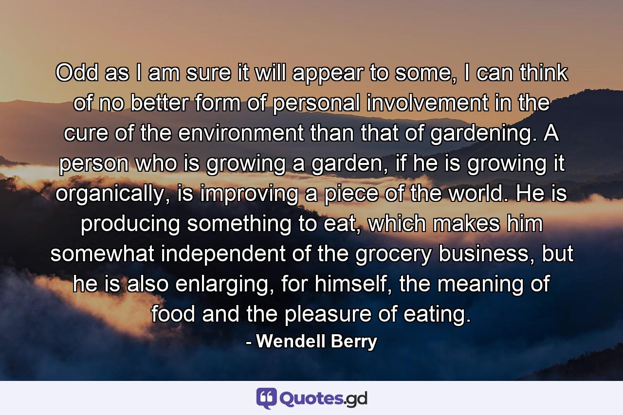 Odd as I am sure it will appear to some, I can think of no better form of personal involvement in the cure of the environment than that of gardening. A person who is growing a garden, if he is growing it organically, is improving a piece of the world. He is producing something to eat, which makes him somewhat independent of the grocery business, but he is also enlarging, for himself, the meaning of food and the pleasure of eating. - Quote by Wendell Berry