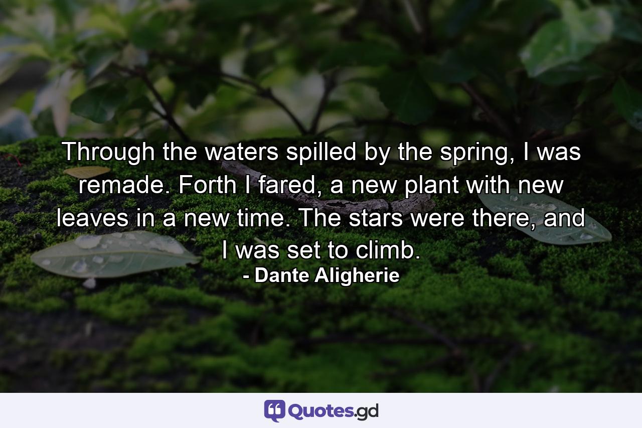 Through the waters spilled by the spring, I was remade. Forth I fared, a new plant with new leaves in a new time. The stars were there, and I was set to climb. - Quote by Dante Aligherie