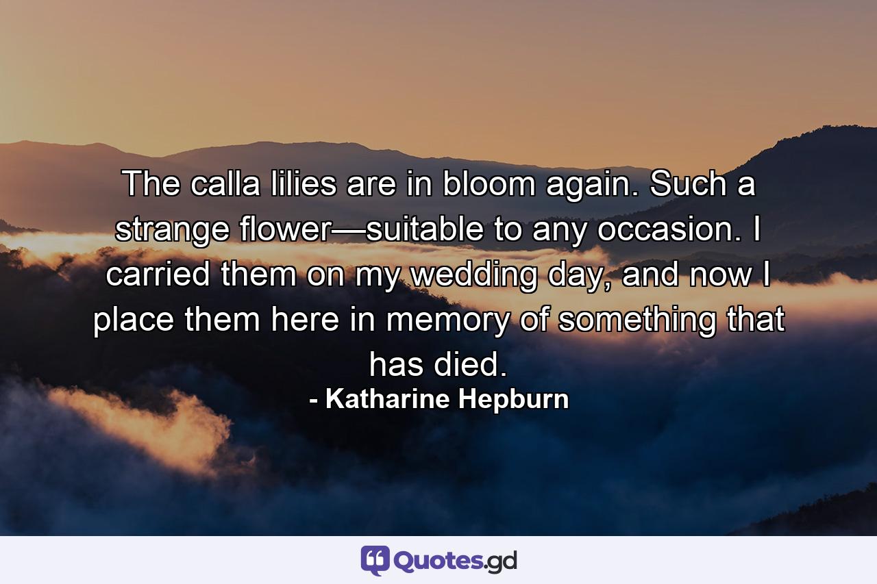 The calla lilies are in bloom again. Such a strange flower—suitable to any occasion. I carried them on my wedding day, and now I place them here in memory of something that has died. - Quote by Katharine Hepburn