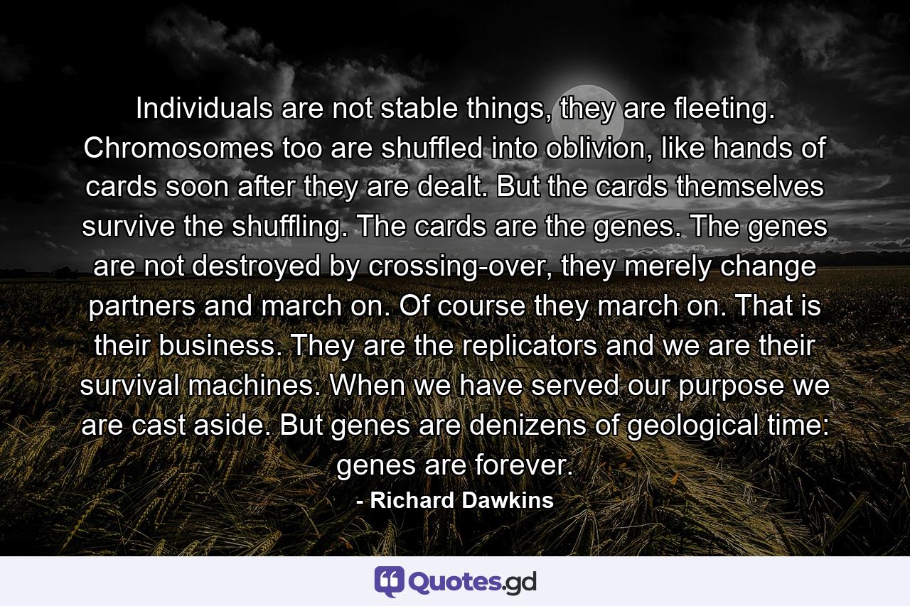 Individuals are not stable things, they are fleeting. Chromosomes too are shuffled into oblivion, like hands of cards soon after they are dealt. But the cards themselves survive the shuffling. The cards are the genes. The genes are not destroyed by crossing-over, they merely change partners and march on. Of course they march on. That is their business. They are the replicators and we are their survival machines. When we have served our purpose we are cast aside. But genes are denizens of geological time: genes are forever. - Quote by Richard Dawkins