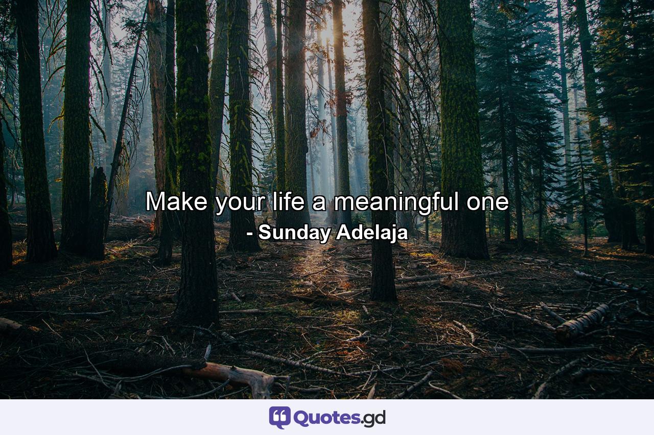 Make your life a meaningful one - Quote by Sunday Adelaja