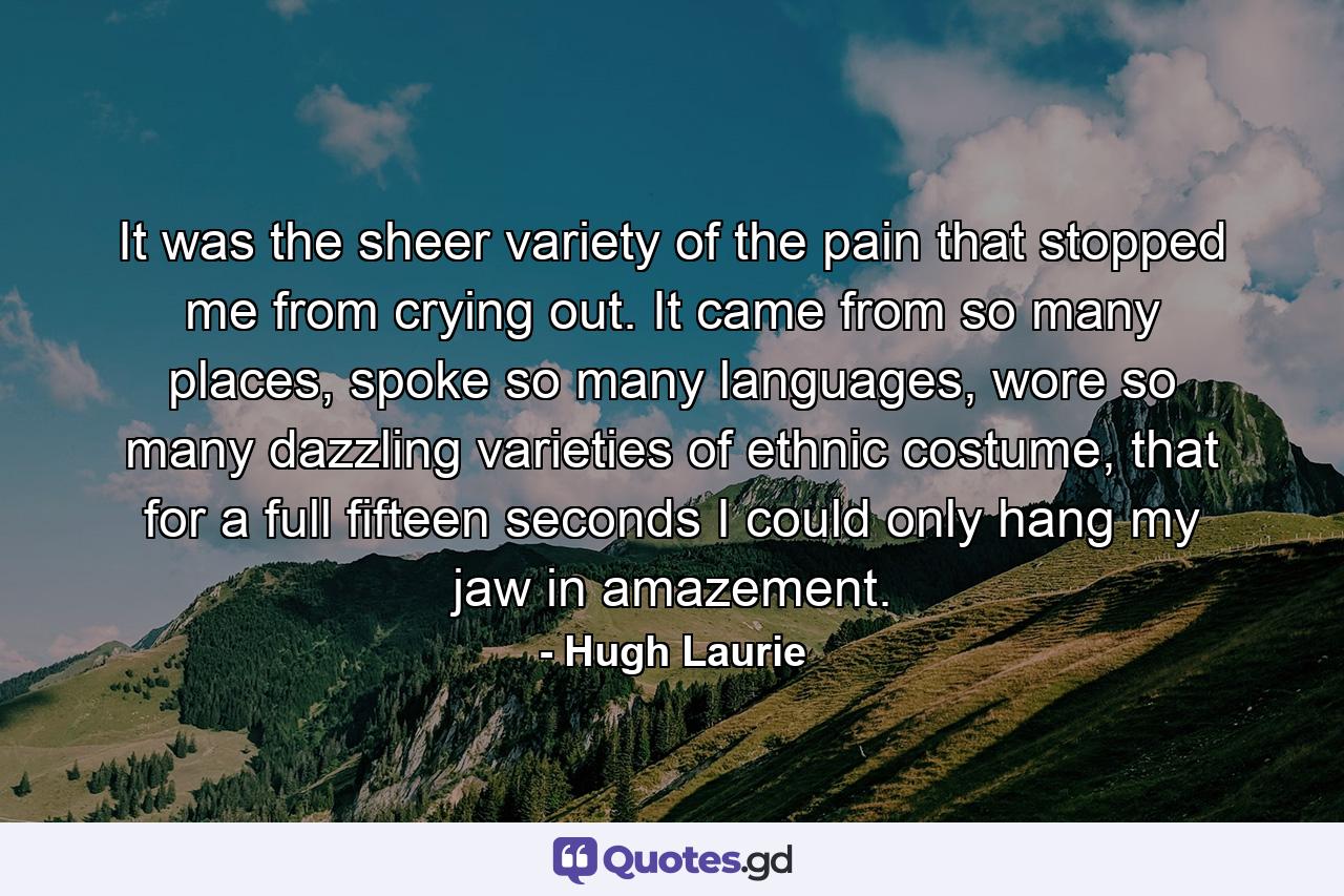 It was the sheer variety of the pain that stopped me from crying out. It came from so many places, spoke so many languages, wore so many dazzling varieties of ethnic costume, that for a full fifteen seconds I could only hang my jaw in amazement. - Quote by Hugh Laurie