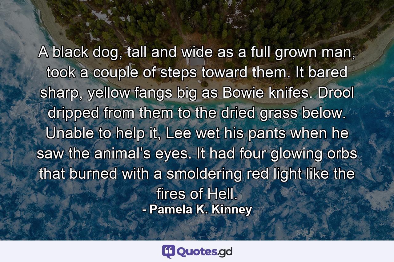 A black dog, tall and wide as a full grown man, took a couple of steps toward them. It bared sharp, yellow fangs big as Bowie knifes. Drool dripped from them to the dried grass below. Unable to help it, Lee wet his pants when he saw the animal’s eyes. It had four glowing orbs that burned with a smoldering red light like the fires of Hell. - Quote by Pamela K. Kinney