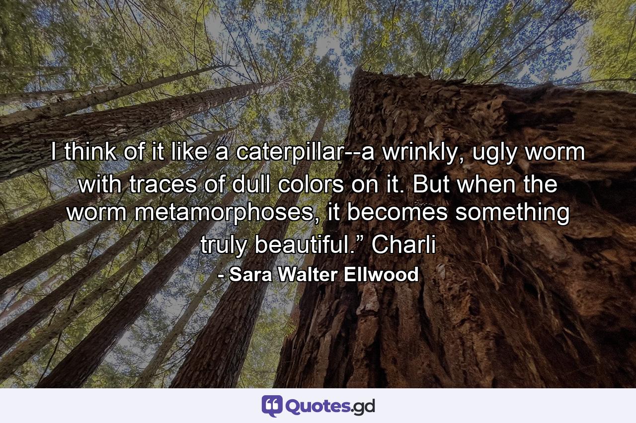 I think of it like a caterpillar--a wrinkly, ugly worm with traces of dull colors on it. But when the worm metamorphoses, it becomes something truly beautiful.” Charli - Quote by Sara Walter Ellwood