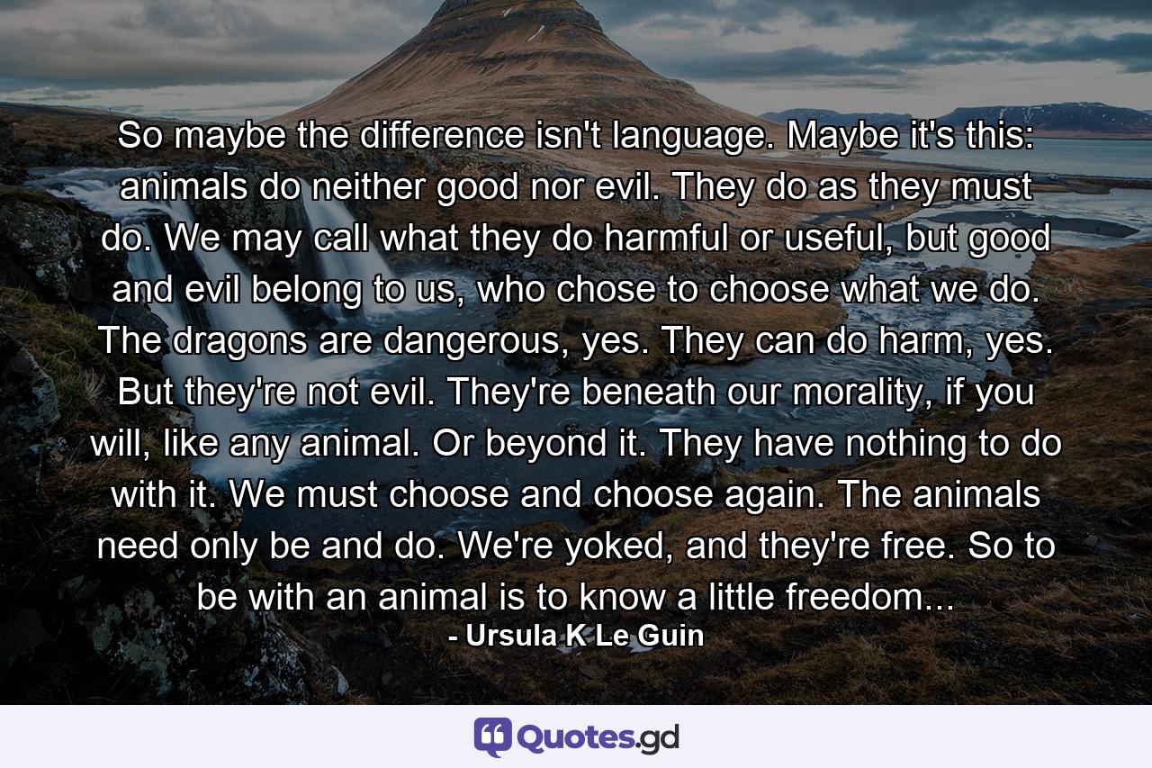 So maybe the difference isn't language. Maybe it's this: animals do neither good nor evil. They do as they must do. We may call what they do harmful or useful, but good and evil belong to us, who chose to choose what we do. The dragons are dangerous, yes. They can do harm, yes. But they're not evil. They're beneath our morality, if you will, like any animal. Or beyond it. They have nothing to do with it. We must choose and choose again. The animals need only be and do. We're yoked, and they're free. So to be with an animal is to know a little freedom... - Quote by Ursula K Le Guin