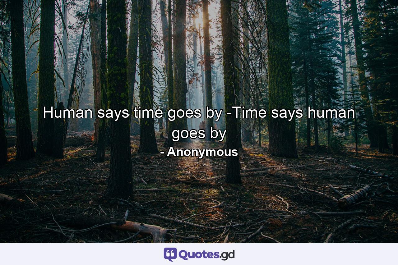 Human says time goes by -Time says human goes by - Quote by Anonymous