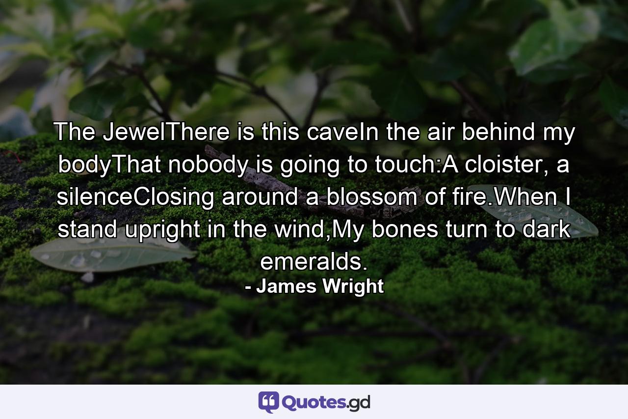 The JewelThere is this caveIn the air behind my bodyThat nobody is going to touch:A cloister, a silenceClosing around a blossom of fire.When I stand upright in the wind,My bones turn to dark emeralds. - Quote by James Wright