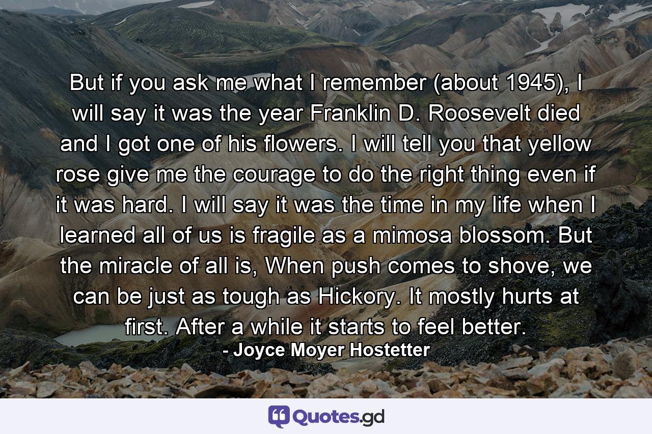 But if you ask me what I remember (about 1945), I will say it was the year Franklin D. Roosevelt died and I got one of his flowers. I will tell you that yellow rose give me the courage to do the right thing even if it was hard. I will say it was the time in my life when I learned all of us is fragile as a mimosa blossom. But the miracle of all is, When push comes to shove, we can be just as tough as Hickory. It mostly hurts at first. After a while it starts to feel better. - Quote by Joyce Moyer Hostetter