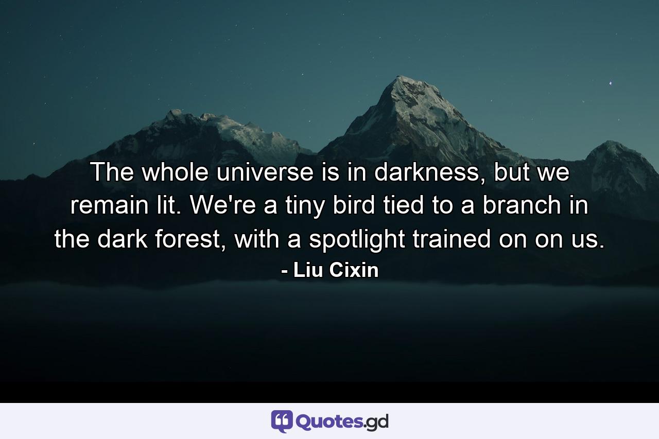 The whole universe is in darkness, but we remain lit. We're a tiny bird tied to a branch in the dark forest, with a spotlight trained on on us. - Quote by Liu Cixin