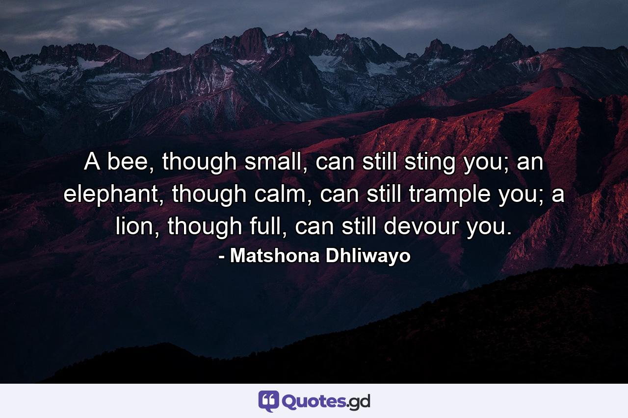 A bee, though small, can still sting you; an elephant, though calm, can still trample you; a lion, though full, can still devour you. - Quote by Matshona Dhliwayo