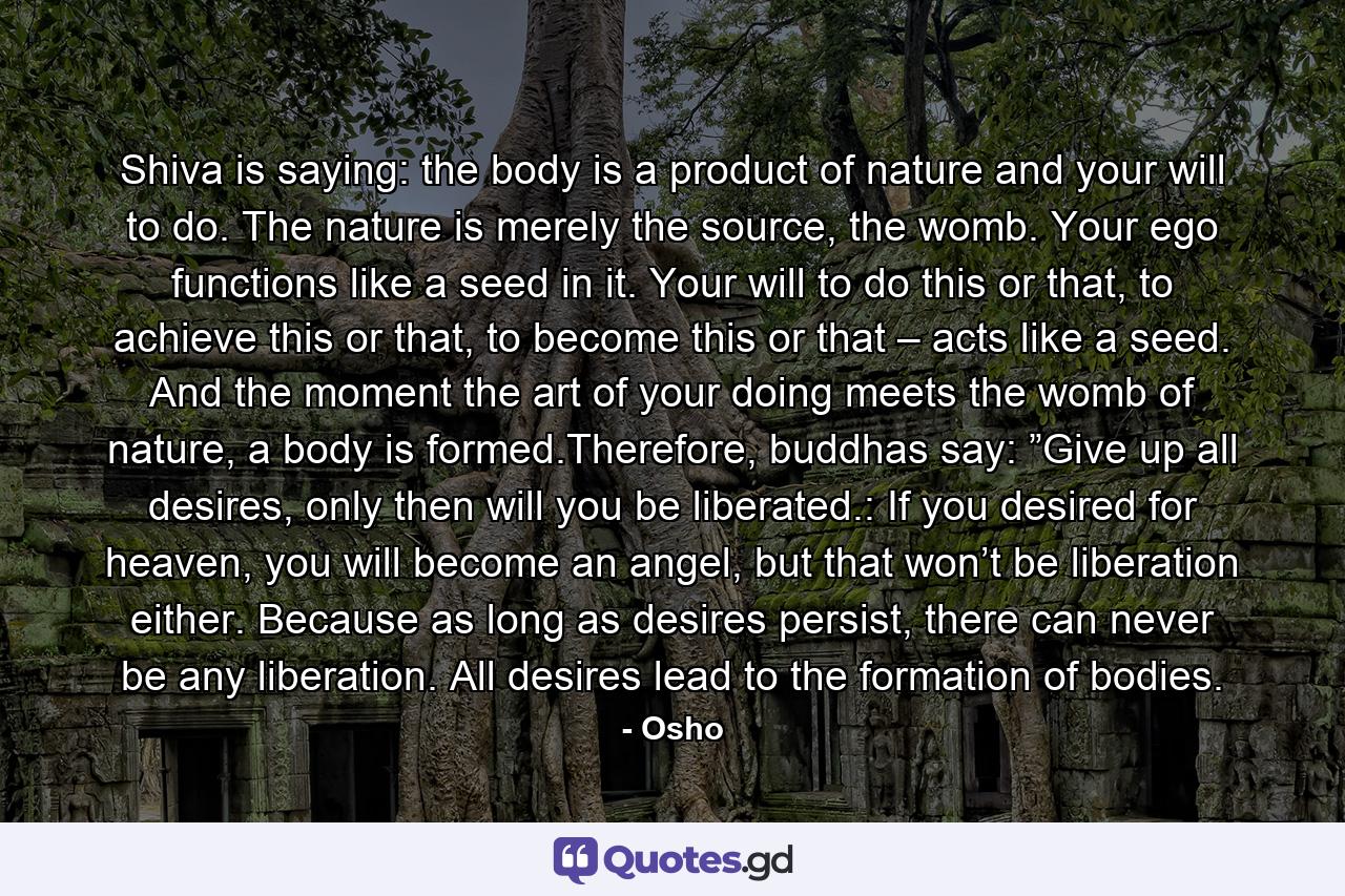 Shiva is saying: the body is a product of nature and your will to do. The nature is merely the source, the womb. Your ego functions like a seed in it. Your will to do this or that, to achieve this or that, to become this or that – acts like a seed. And the moment the art of your doing meets the womb of nature, a body is formed.Therefore, buddhas say: ”Give up all desires, only then will you be liberated.: If you desired for heaven, you will become an angel, but that won’t be liberation either. Because as long as desires persist, there can never be any liberation. All desires lead to the formation of bodies. - Quote by Osho