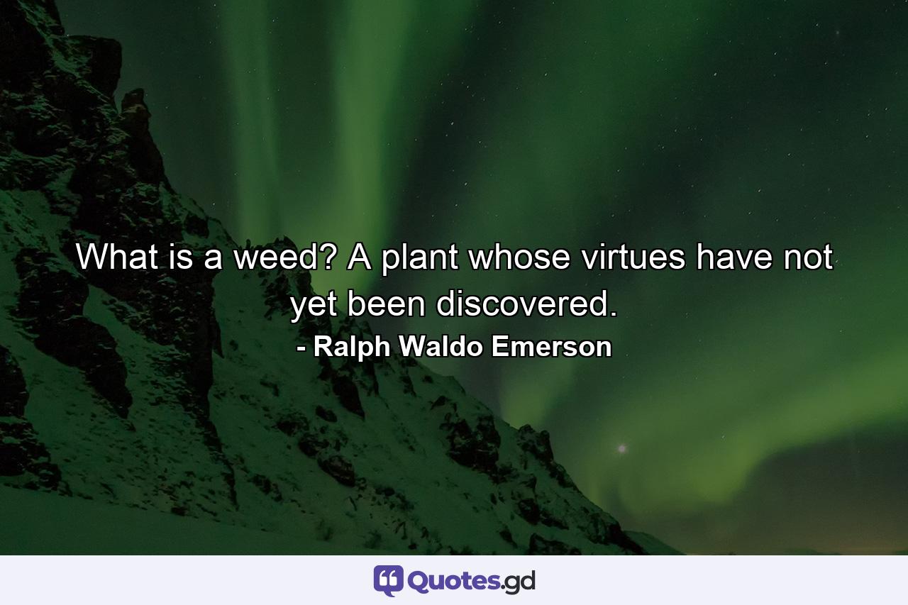 What is a weed? A plant whose virtues have not yet been discovered. - Quote by Ralph Waldo Emerson