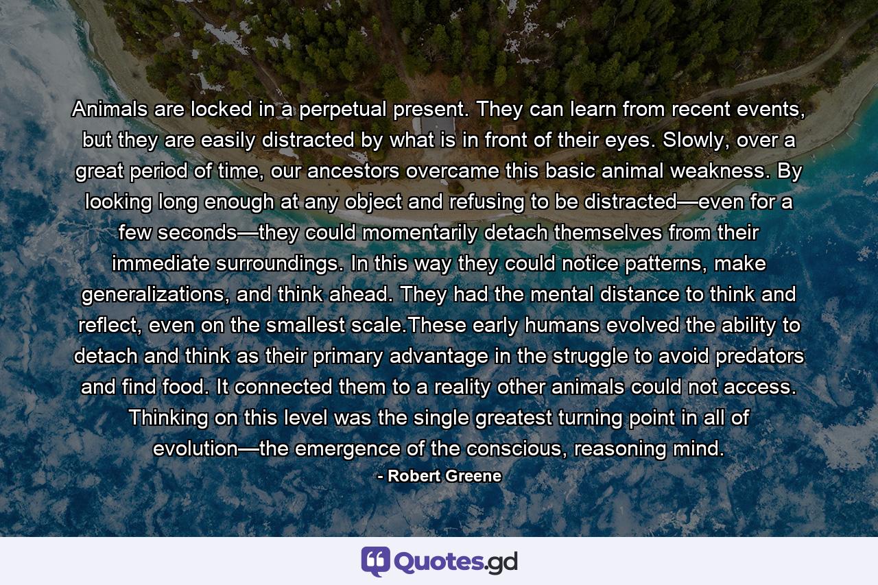 Animals are locked in a perpetual present. They can learn from recent events, but they are easily distracted by what is in front of their eyes. Slowly, over a great period of time, our ancestors overcame this basic animal weakness. By looking long enough at any object and refusing to be distracted—even for a few seconds—they could momentarily detach themselves from their immediate surroundings. In this way they could notice patterns, make generalizations, and think ahead. They had the mental distance to think and reflect, even on the smallest scale.These early humans evolved the ability to detach and think as their primary advantage in the struggle to avoid predators and find food. It connected them to a reality other animals could not access. Thinking on this level was the single greatest turning point in all of evolution—the emergence of the conscious, reasoning mind. - Quote by Robert Greene