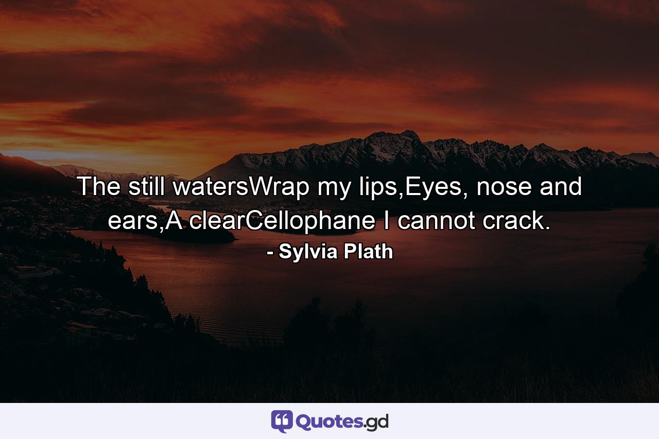 The still watersWrap my lips,Eyes, nose and ears,A clearCellophane I cannot crack. - Quote by Sylvia Plath