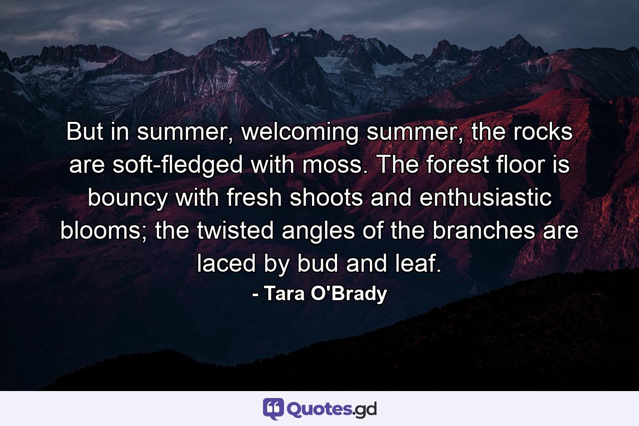 But in summer, welcoming summer, the rocks are soft-fledged with moss. The forest floor is bouncy with fresh shoots and enthusiastic blooms; the twisted angles of the branches are laced by bud and leaf. - Quote by Tara O'Brady