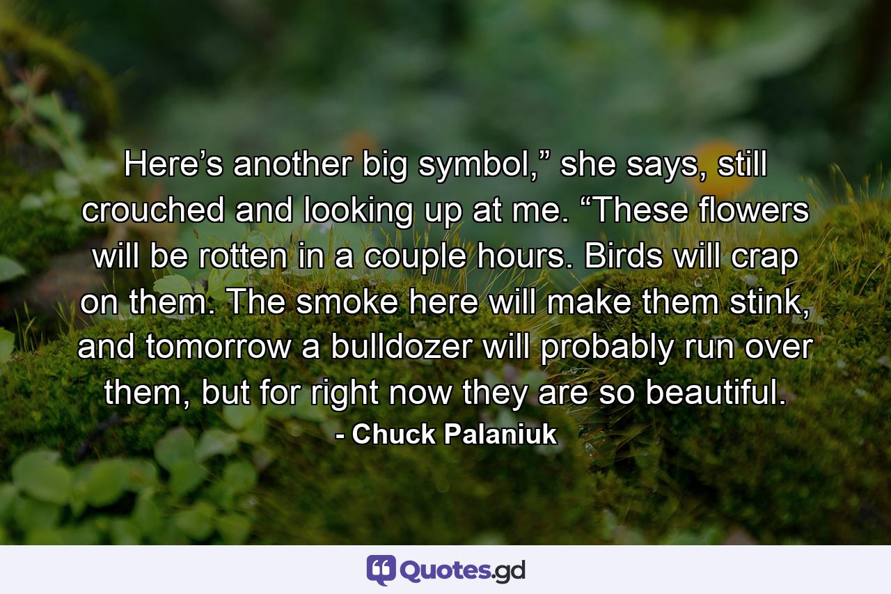 Here’s another big symbol,” she says, still crouched and looking up at me. “These flowers will be rotten in a couple hours. Birds will crap on them. The smoke here will make them stink, and tomorrow a bulldozer will probably run over them, but for right now they are so beautiful. - Quote by Chuck Palaniuk