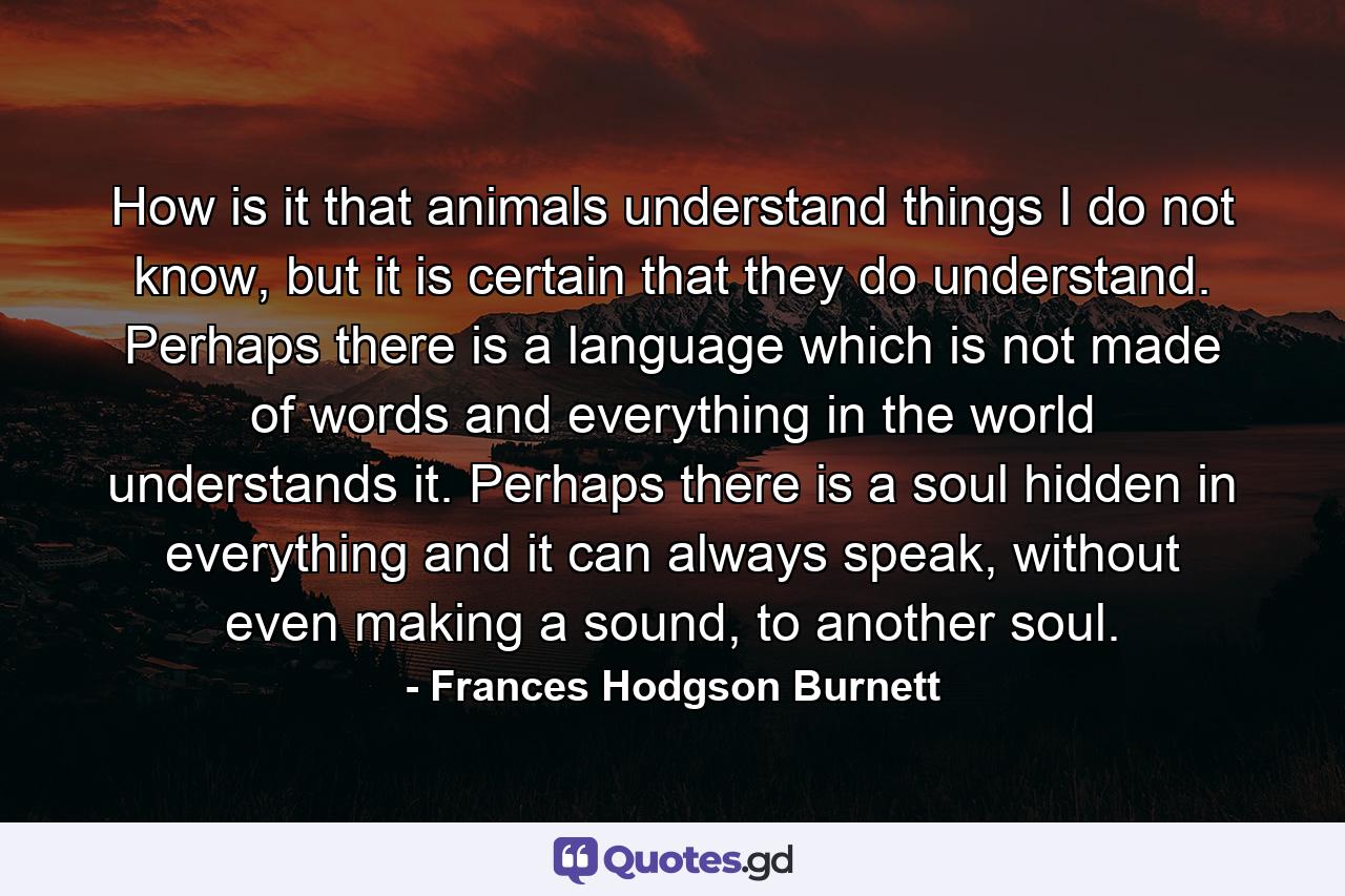 How is it that animals understand things I do not know, but it is certain that they do understand. Perhaps there is a language which is not made of words and everything in the world understands it. Perhaps there is a soul hidden in everything and it can always speak, without even making a sound, to another soul. - Quote by Frances Hodgson Burnett