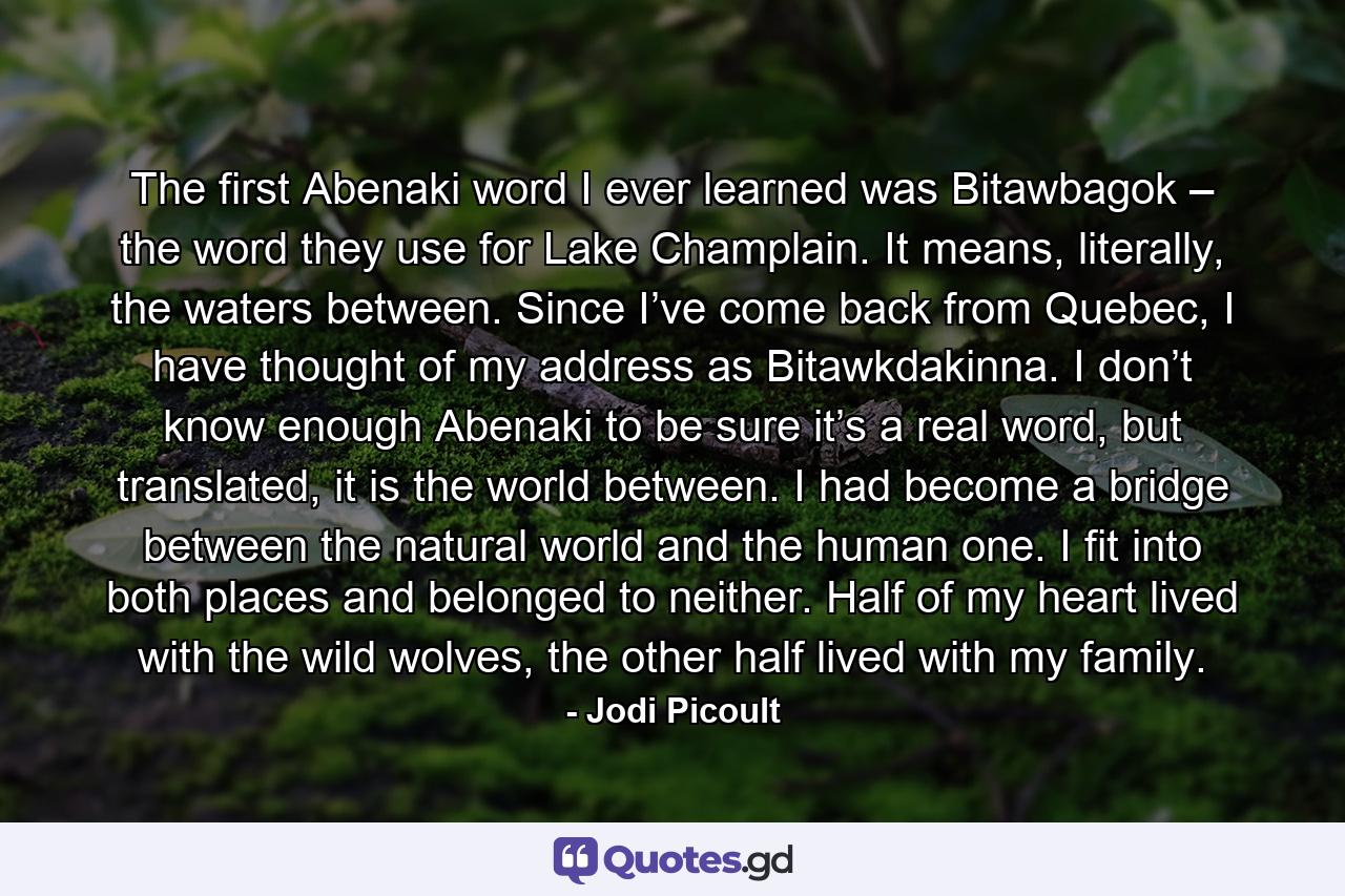 The first Abenaki word I ever learned was Bitawbagok – the word they use for Lake Champlain. It means, literally, the waters between. Since I’ve come back from Quebec, I have thought of my address as Bitawkdakinna. I don’t know enough Abenaki to be sure it’s a real word, but translated, it is the world between. I had become a bridge between the natural world and the human one. I fit into both places and belonged to neither. Half of my heart lived with the wild wolves, the other half lived with my family. - Quote by Jodi Picoult