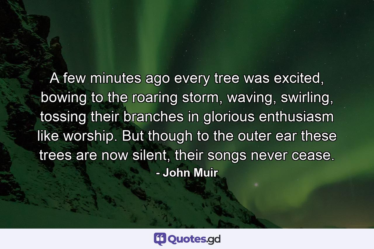 A few minutes ago every tree was excited, bowing to the roaring storm, waving, swirling, tossing their branches in glorious enthusiasm like worship. But though to the outer ear these trees are now silent, their songs never cease. - Quote by John Muir