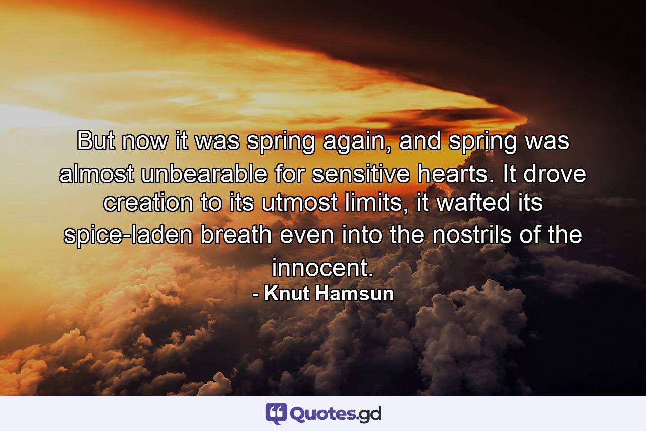 But now it was spring again, and spring was almost unbearable for sensitive hearts. It drove creation to its utmost limits, it wafted its spice-laden breath even into the nostrils of the innocent. - Quote by Knut Hamsun