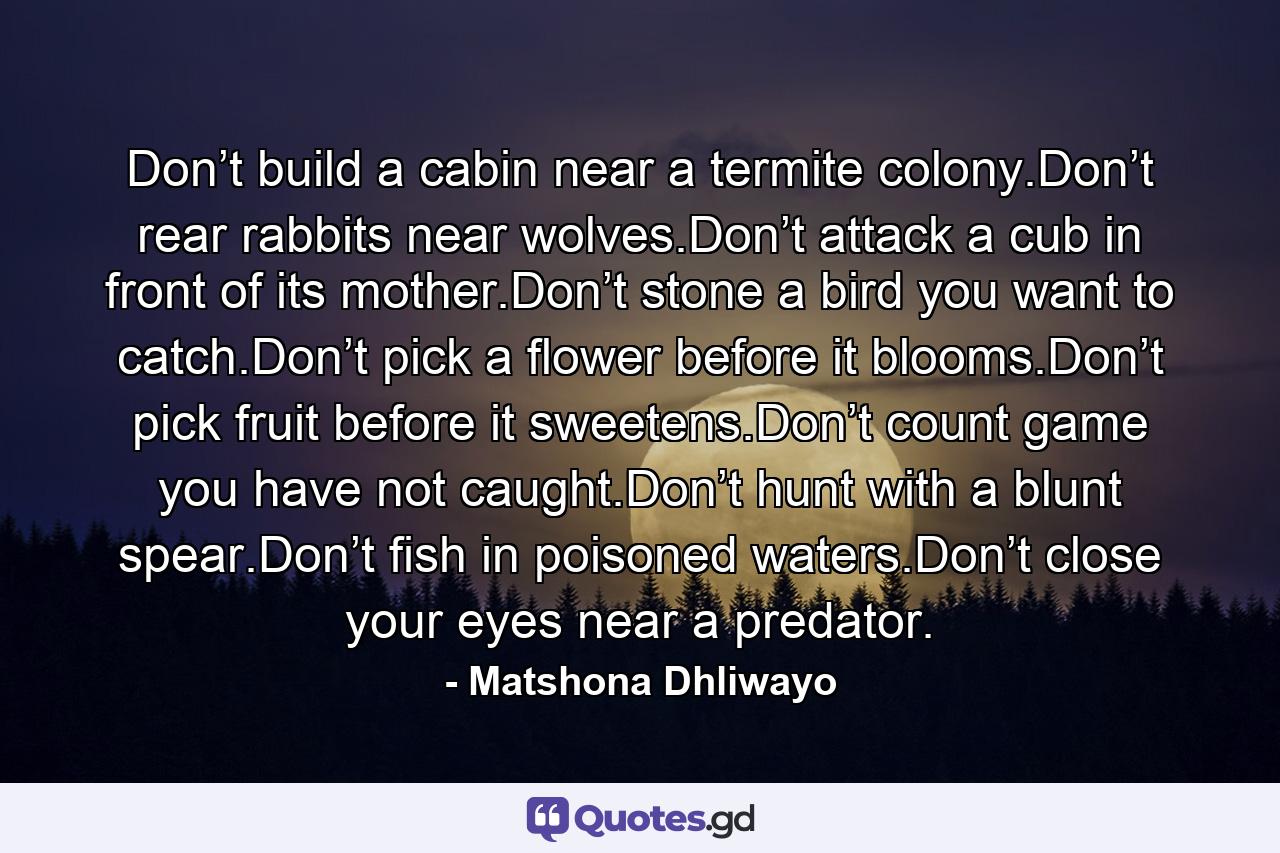 Don’t build a cabin near a termite colony.Don’t rear rabbits near wolves.Don’t attack a cub in front of its mother.Don’t stone a bird you want to catch.Don’t pick a flower before it blooms.Don’t pick fruit before it sweetens.Don’t count game you have not caught.Don’t hunt with a blunt spear.Don’t fish in poisoned waters.Don’t close your eyes near a predator. - Quote by Matshona Dhliwayo