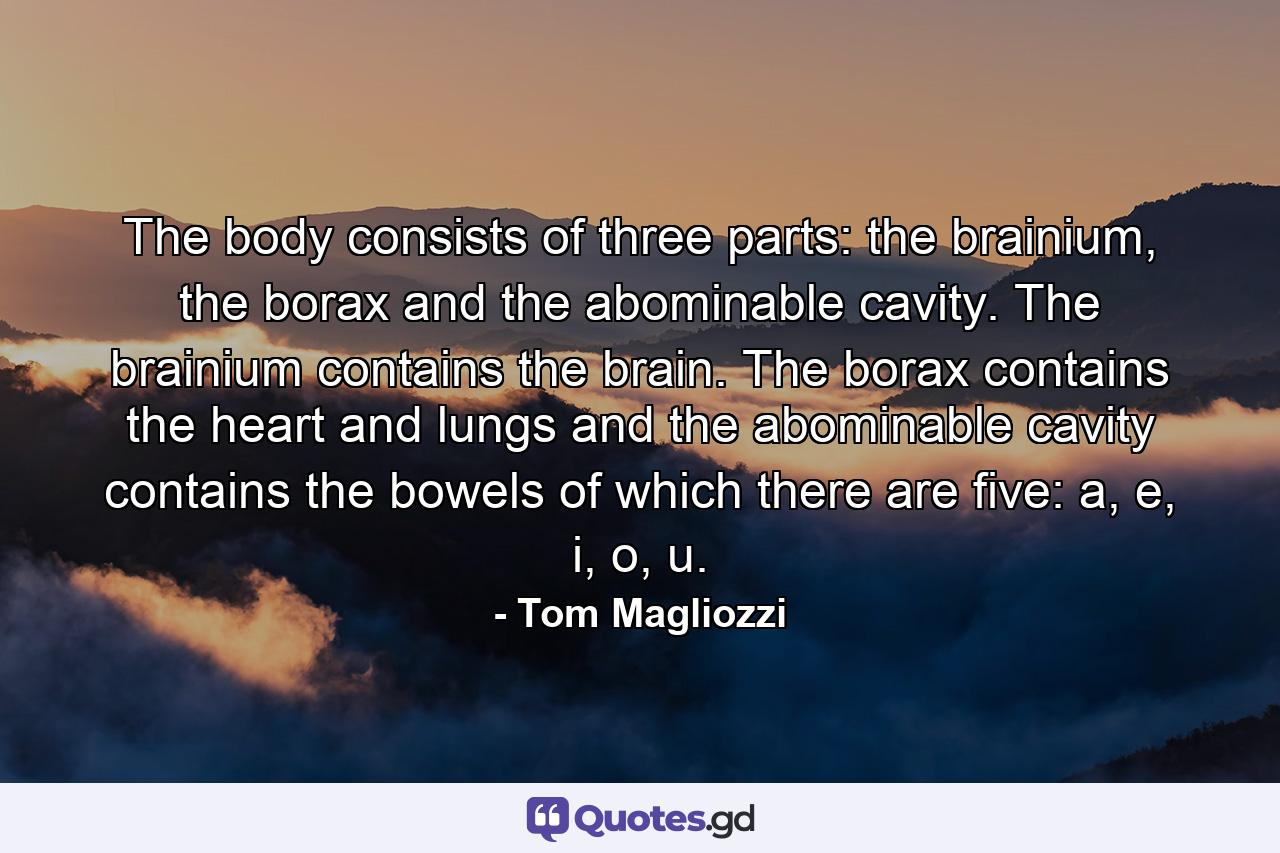 The body consists of three parts: the brainium, the borax and the abominable cavity. The brainium contains the brain. The borax contains the heart and lungs and the abominable cavity contains the bowels of which there are five: a, e, i, o, u. - Quote by Tom Magliozzi