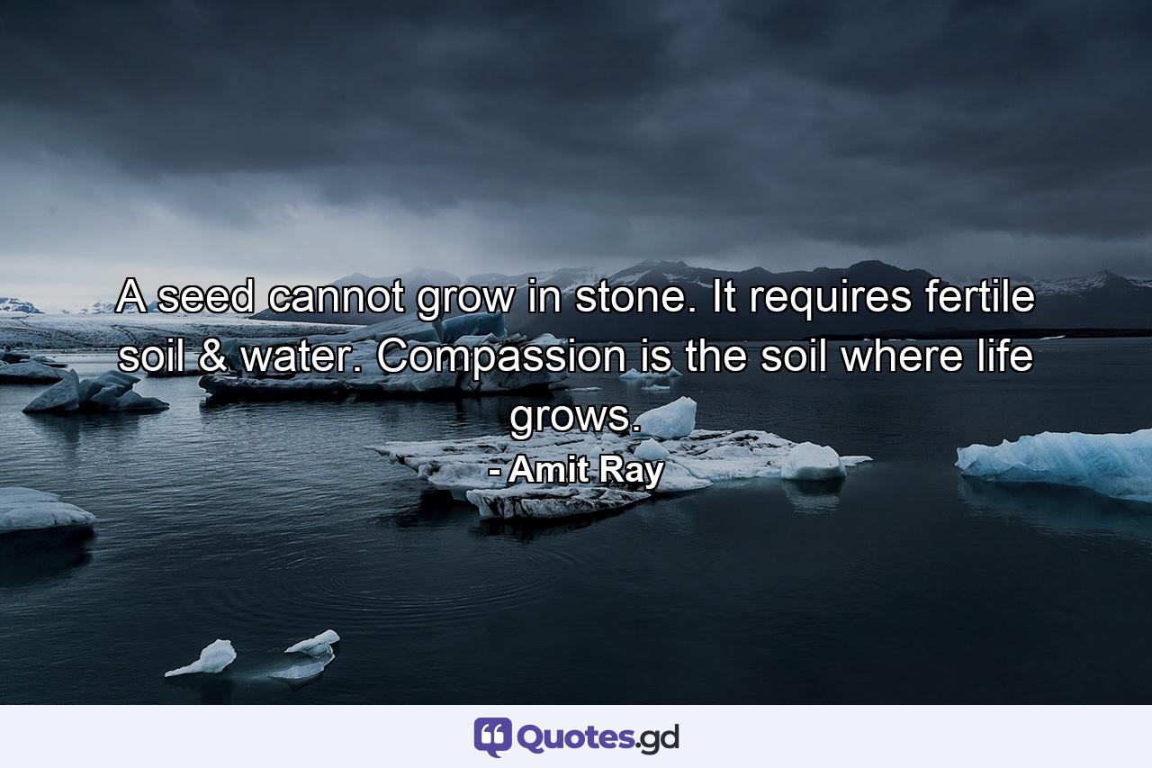 A seed cannot grow in stone. It requires fertile soil & water. Compassion is the soil where life grows. - Quote by Amit Ray