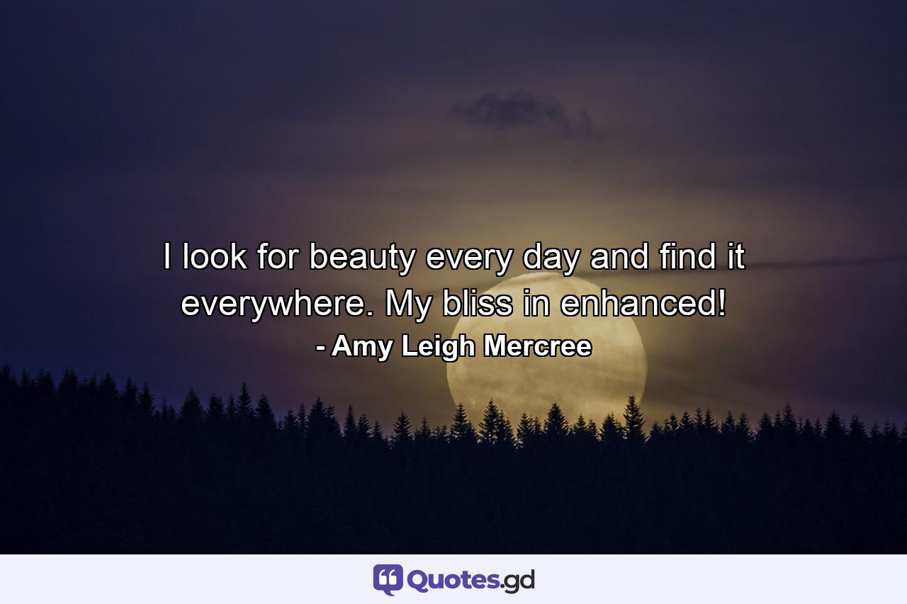 I look for beauty every day and find it everywhere. My bliss in enhanced! - Quote by Amy Leigh Mercree