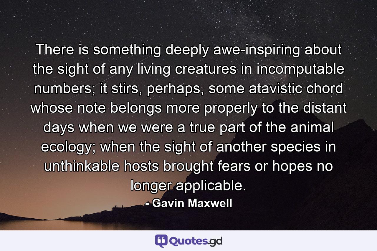 There is something deeply awe-inspiring about the sight of any living creatures in incomputable numbers; it stirs, perhaps, some atavistic chord whose note belongs more properly to the distant days when we were a true part of the animal ecology; when the sight of another species in unthinkable hosts brought fears or hopes no longer applicable. - Quote by Gavin Maxwell