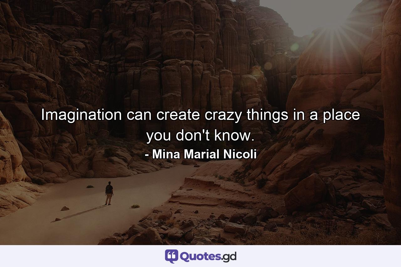 Imagination can create crazy things in a place you don't know. - Quote by Mina Marial Nicoli