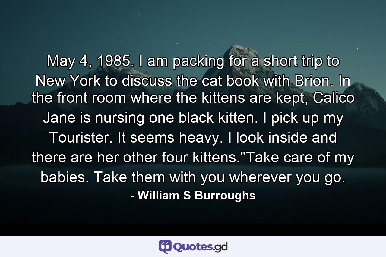 May 4, 1985. I am packing for a short trip to New York to discuss the cat book with Brion. In the front room where the kittens are kept, Calico Jane is nursing one black kitten. I pick up my Tourister. It seems heavy. I look inside and there are her other four kittens.