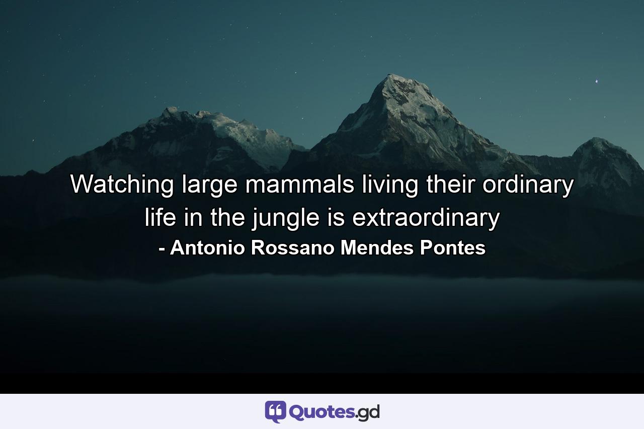 Watching large mammals living their ordinary life in the jungle is extraordinary - Quote by Antonio Rossano Mendes Pontes