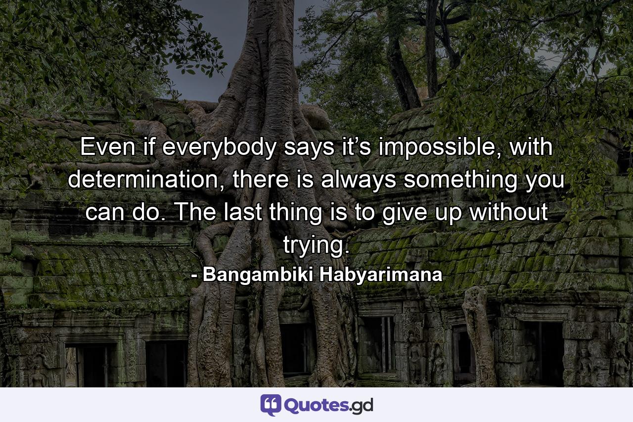 Even if everybody says it’s impossible, with determination, there is always something you can do. The last thing is to give up without trying. - Quote by Bangambiki Habyarimana